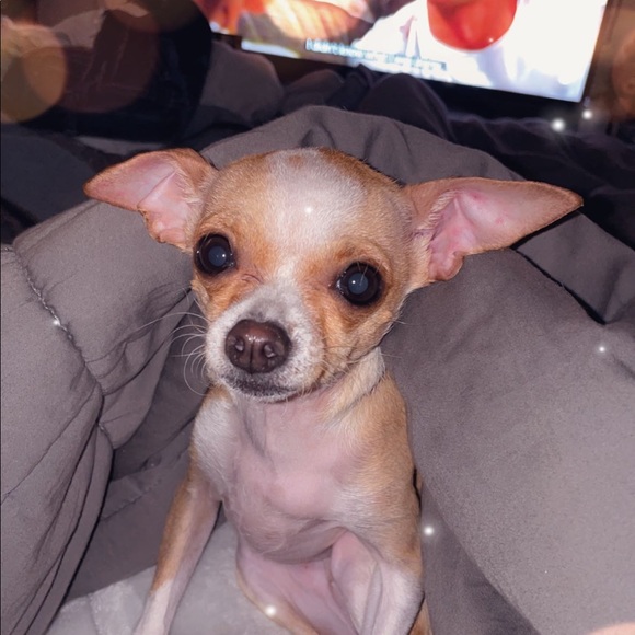 Meet your Posher, Zoë - Picture 6 of 8